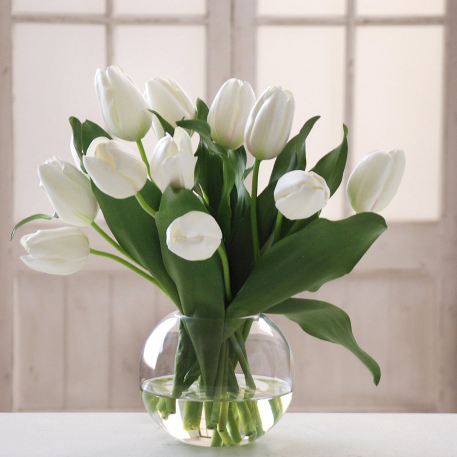 Букет белых тюльпанов в вазе
