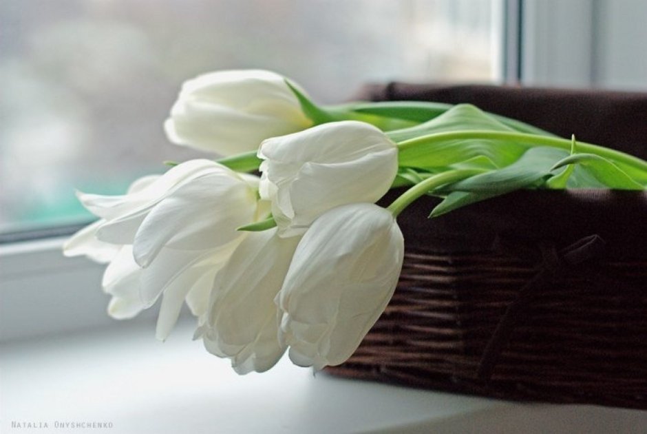 Букет белых тюльпанов на столе
