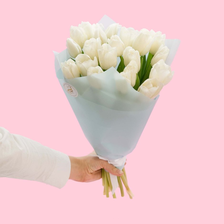21 Белый тюльпан