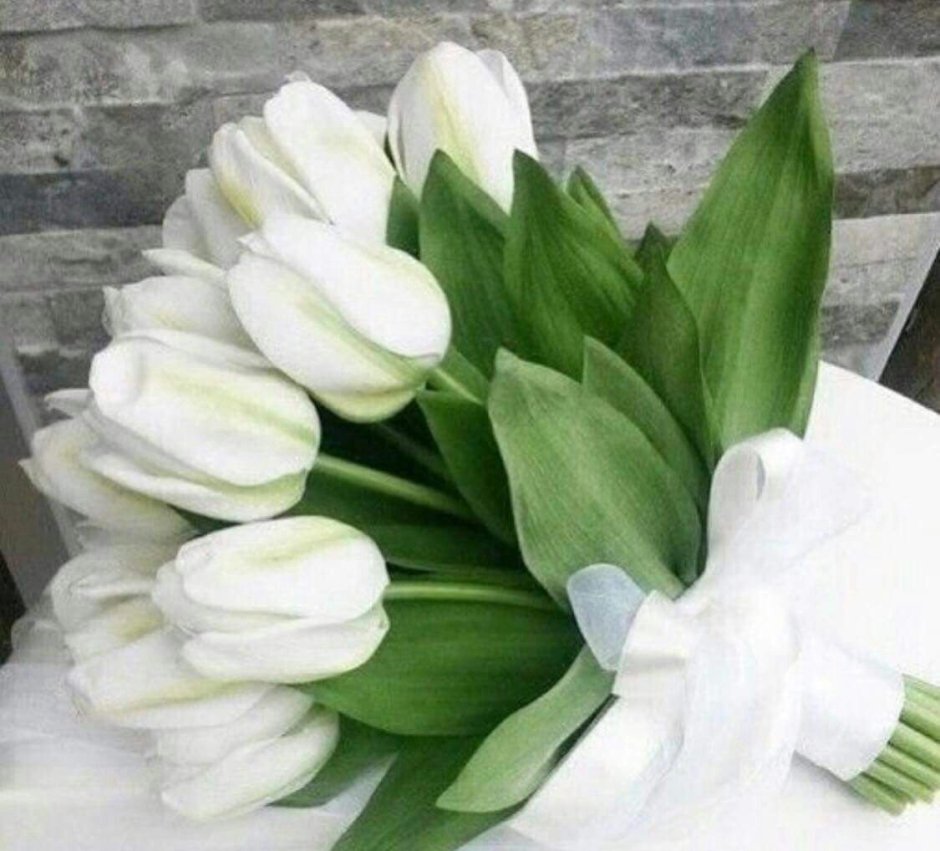 Букет белых тюльпанов 33шт