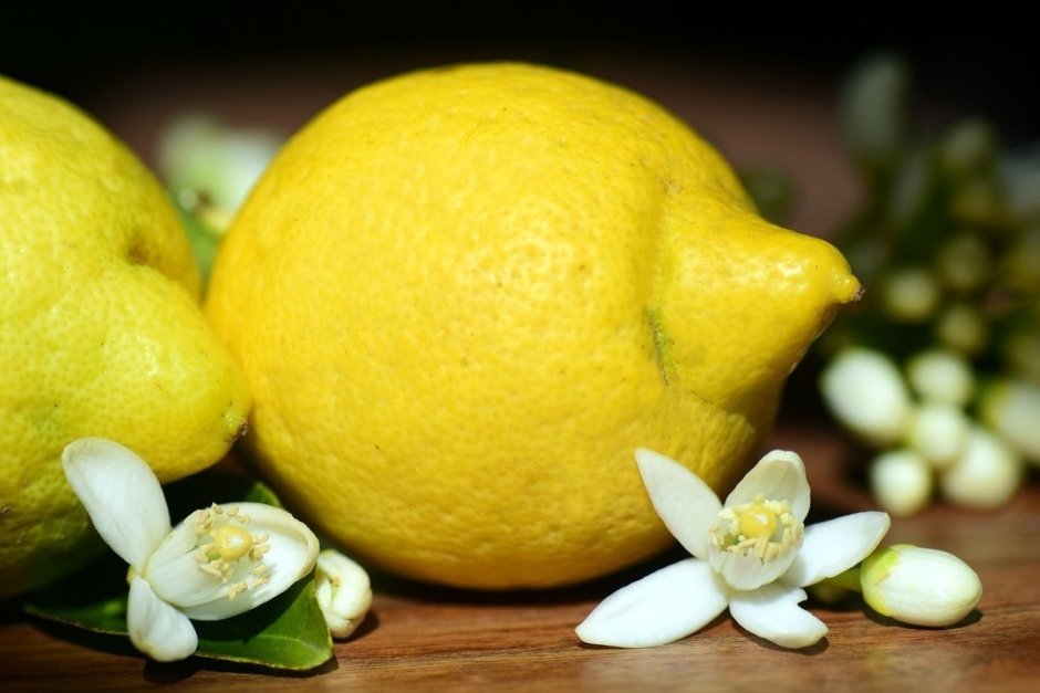 Цветок лимона