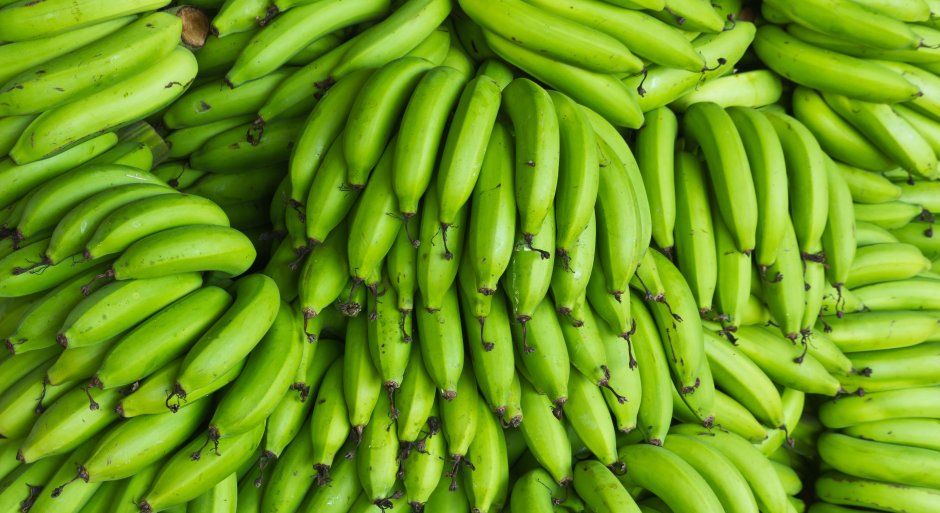 Зеленые бананы сорт
