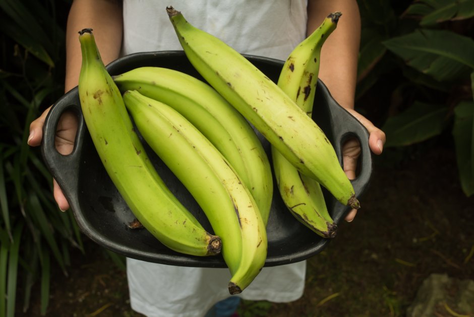 Plantain Banana разница