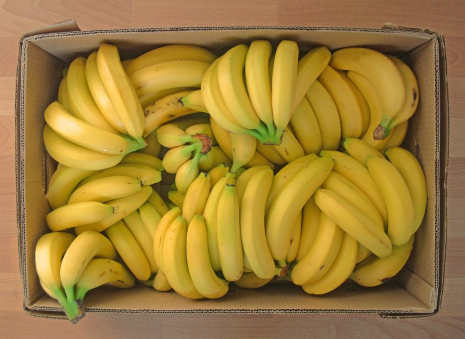 Банан сорт Кавендиш