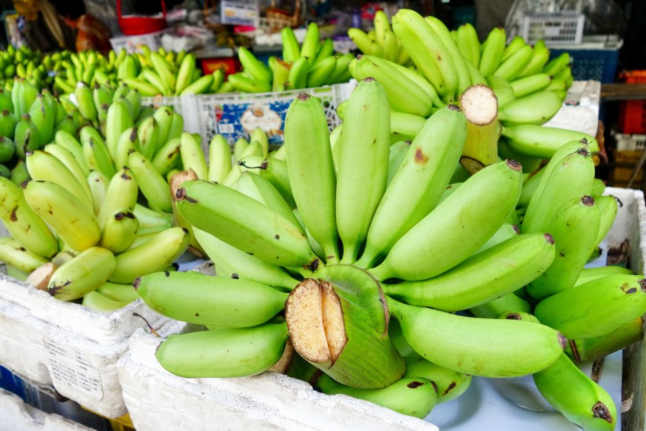 Сорт зеленых бананов