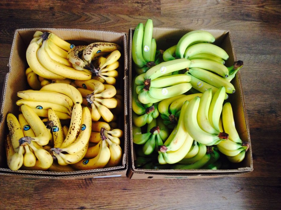 Зеленые и желтые бананы