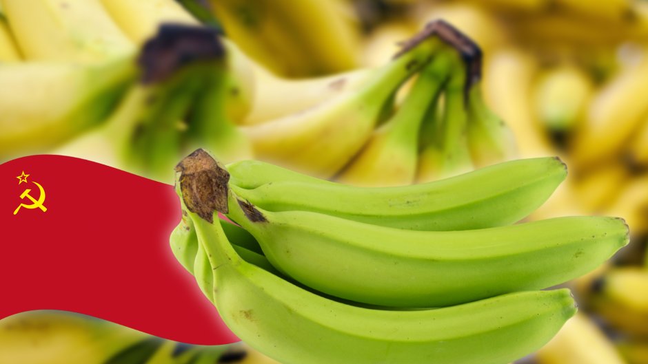 Интересные факты о бананах