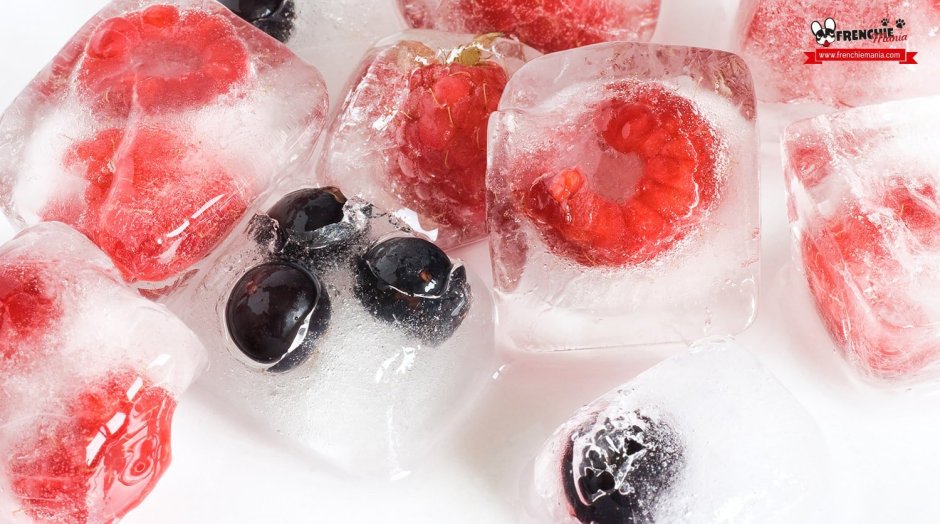 Кубики льда с ягодами