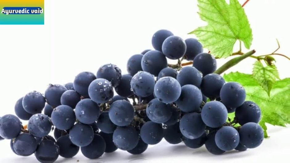 Виноград чёрный Молдова