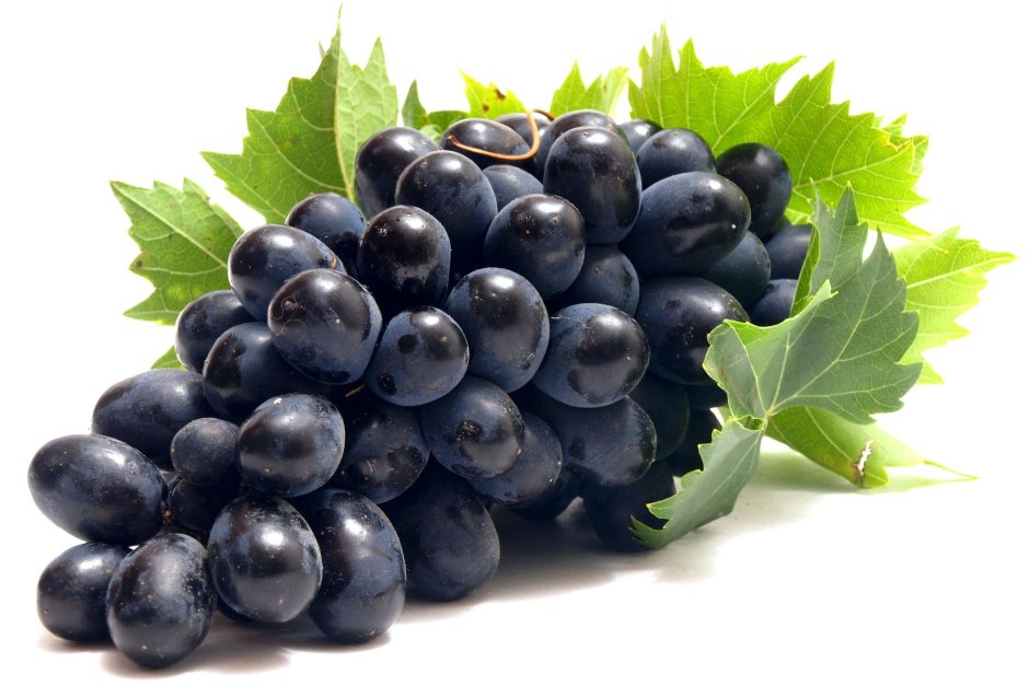 Коринка черная виноград