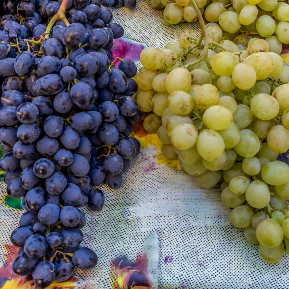 Виноград с большими гроздьями