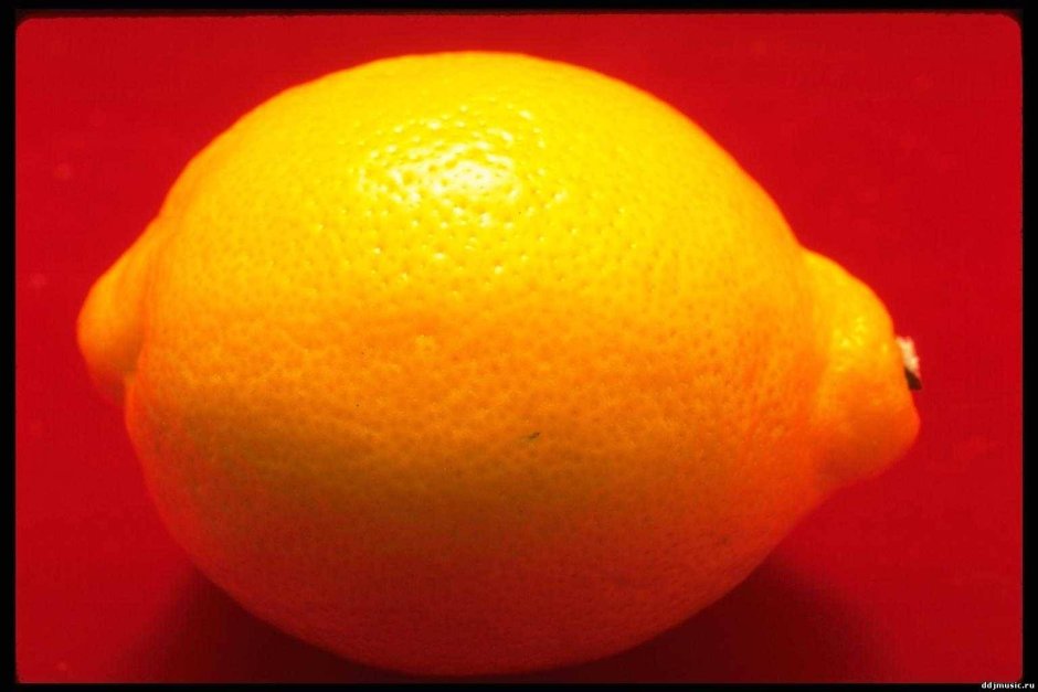 Лимон на Красном фоне