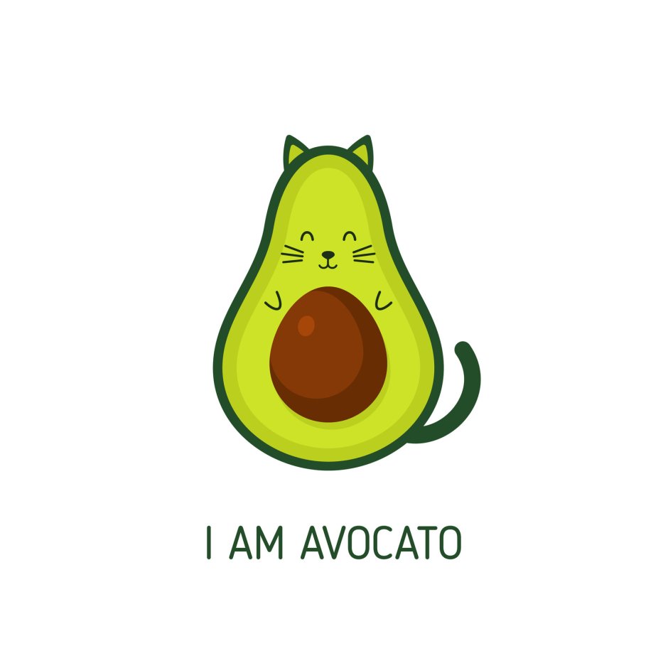 Постер авокадо