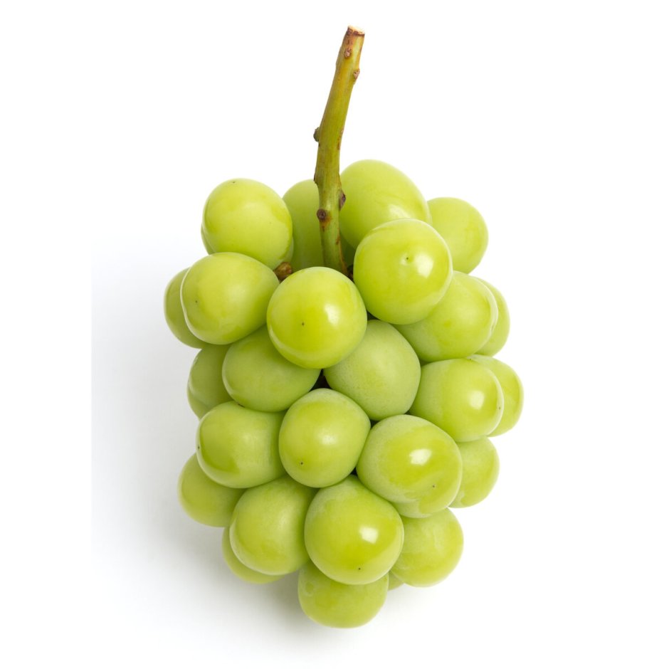 Шайн Мускат виноград