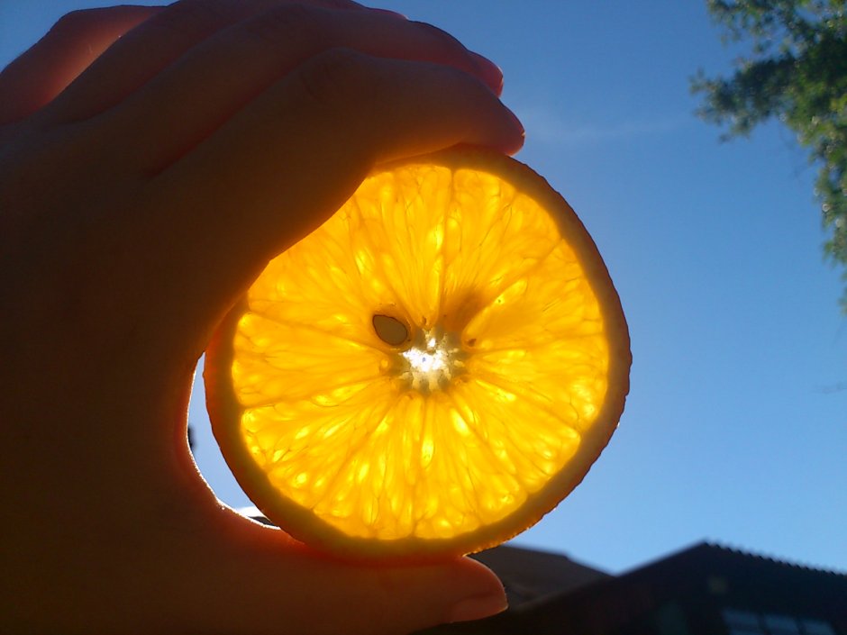 Оранжевое солнце апельсин