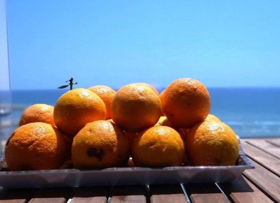 Апельсины и море