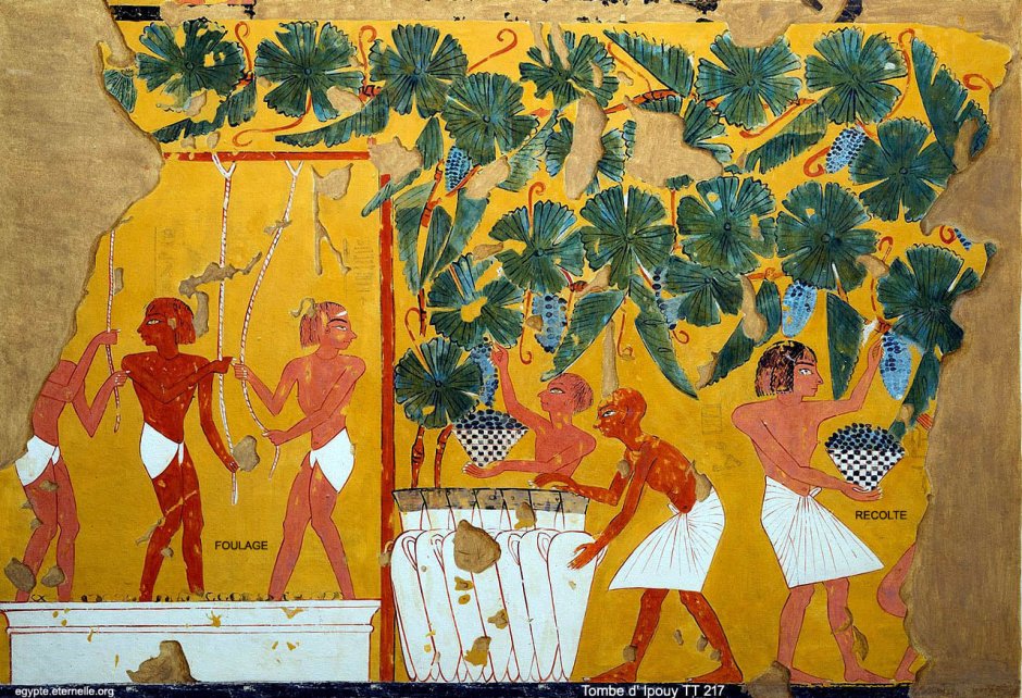 Горшечные растения на фресках древнего Египта