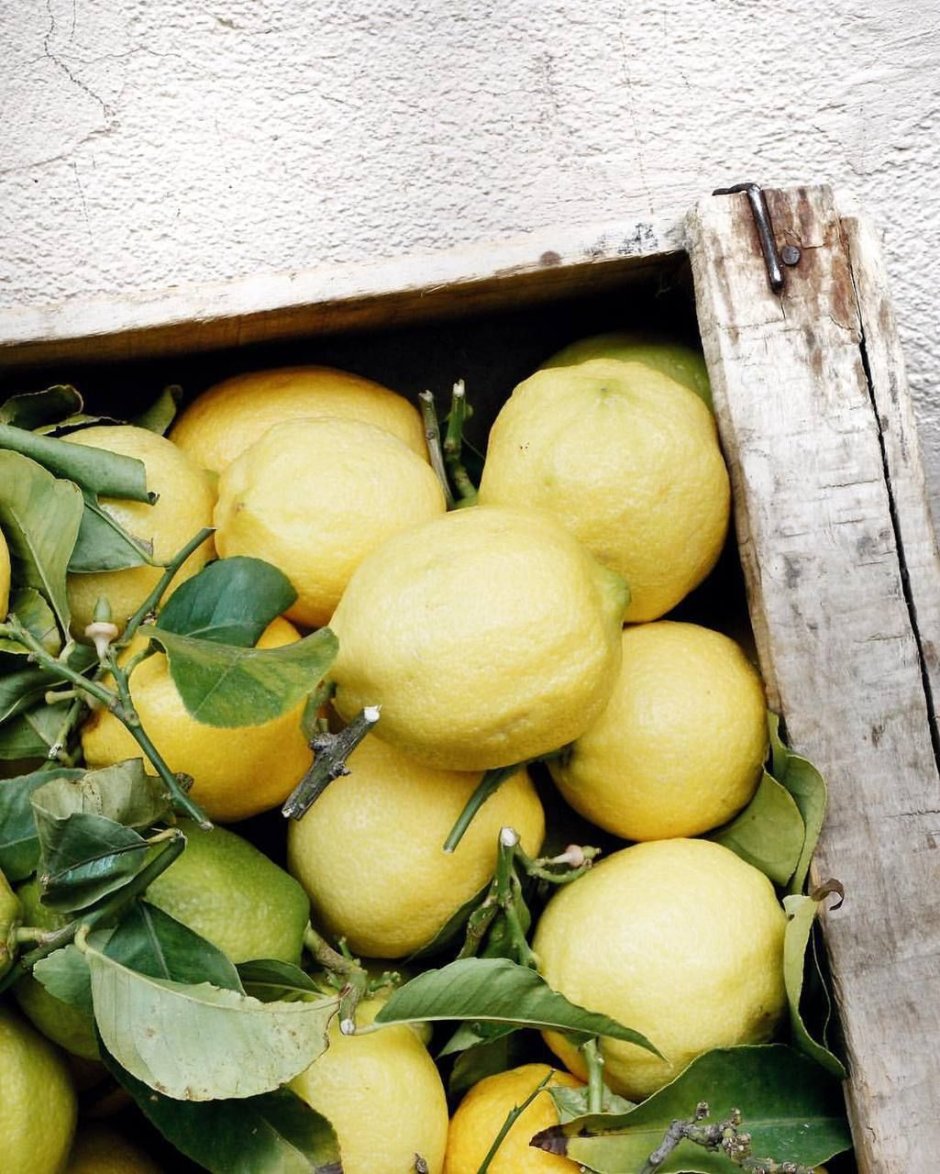 Постер лимоны Италия