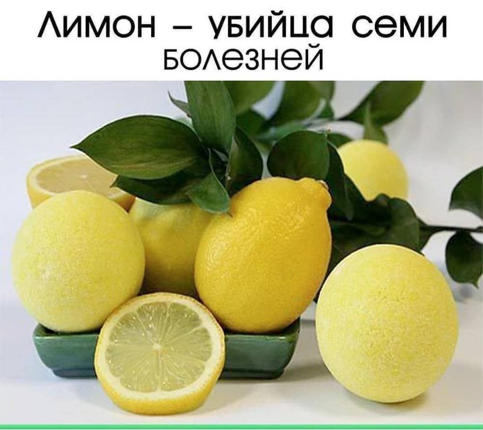 Лимон картинка
