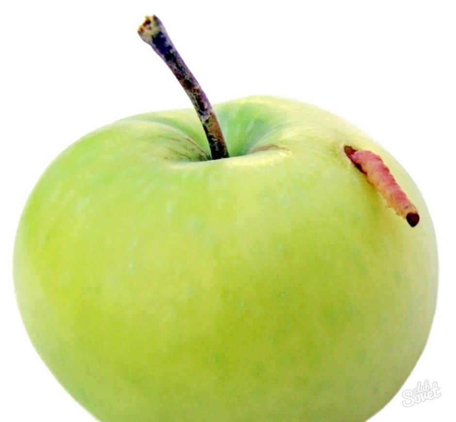 Яблоко с дыркой