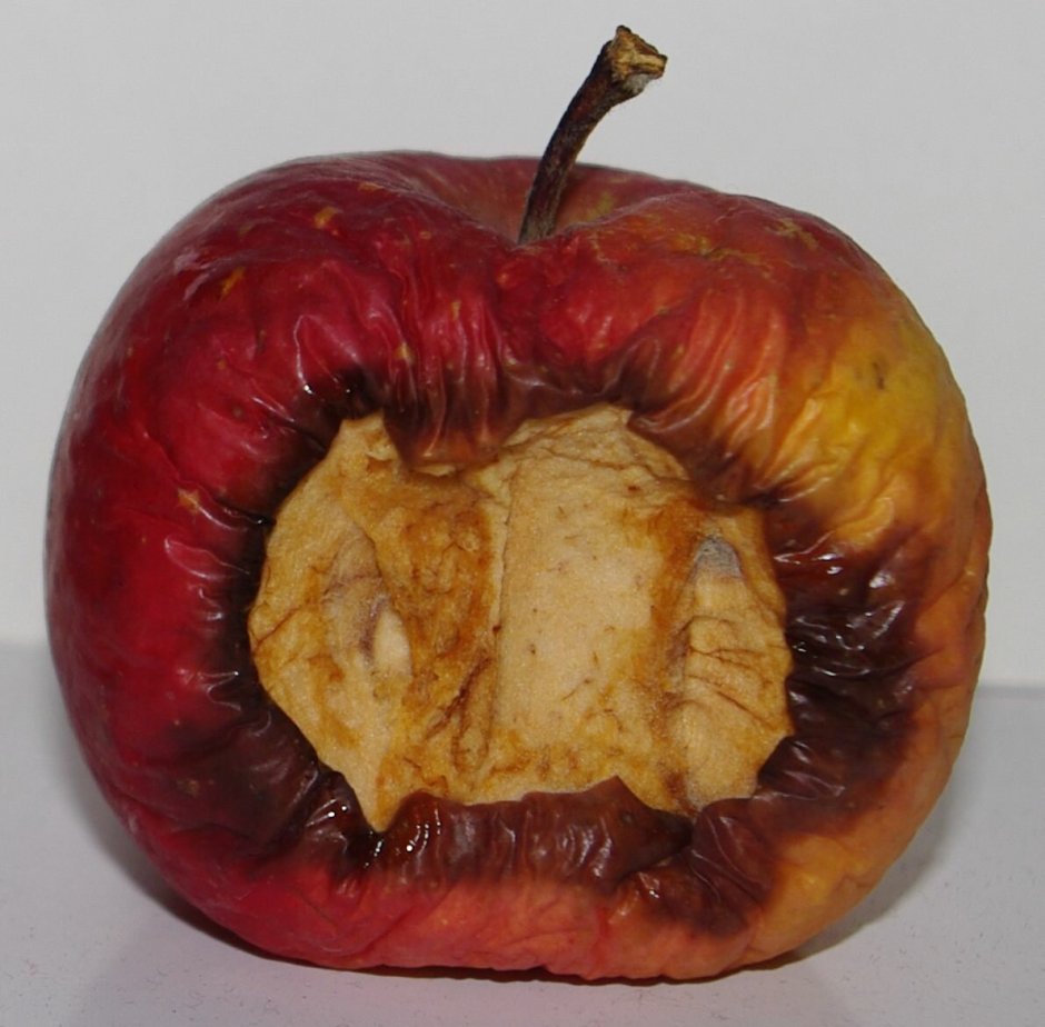 Испорченное яблоко