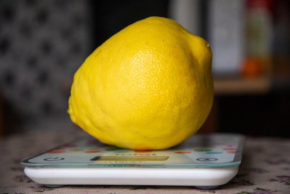 Лимон гигант