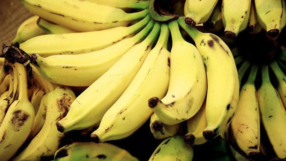 Сорта бананов