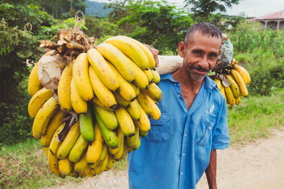 Эквадор бананы плантации