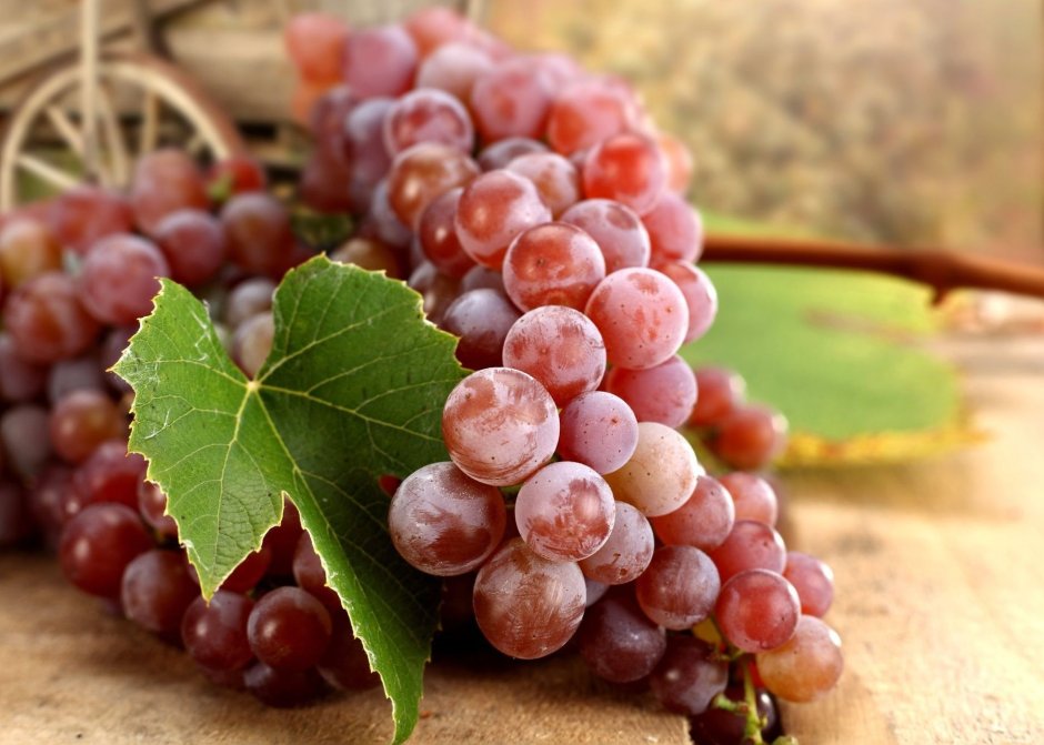 Мускат виноград гроздь