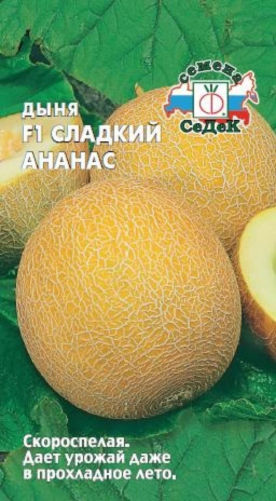 Дыня сладкий ананас f1 СЕДЕК