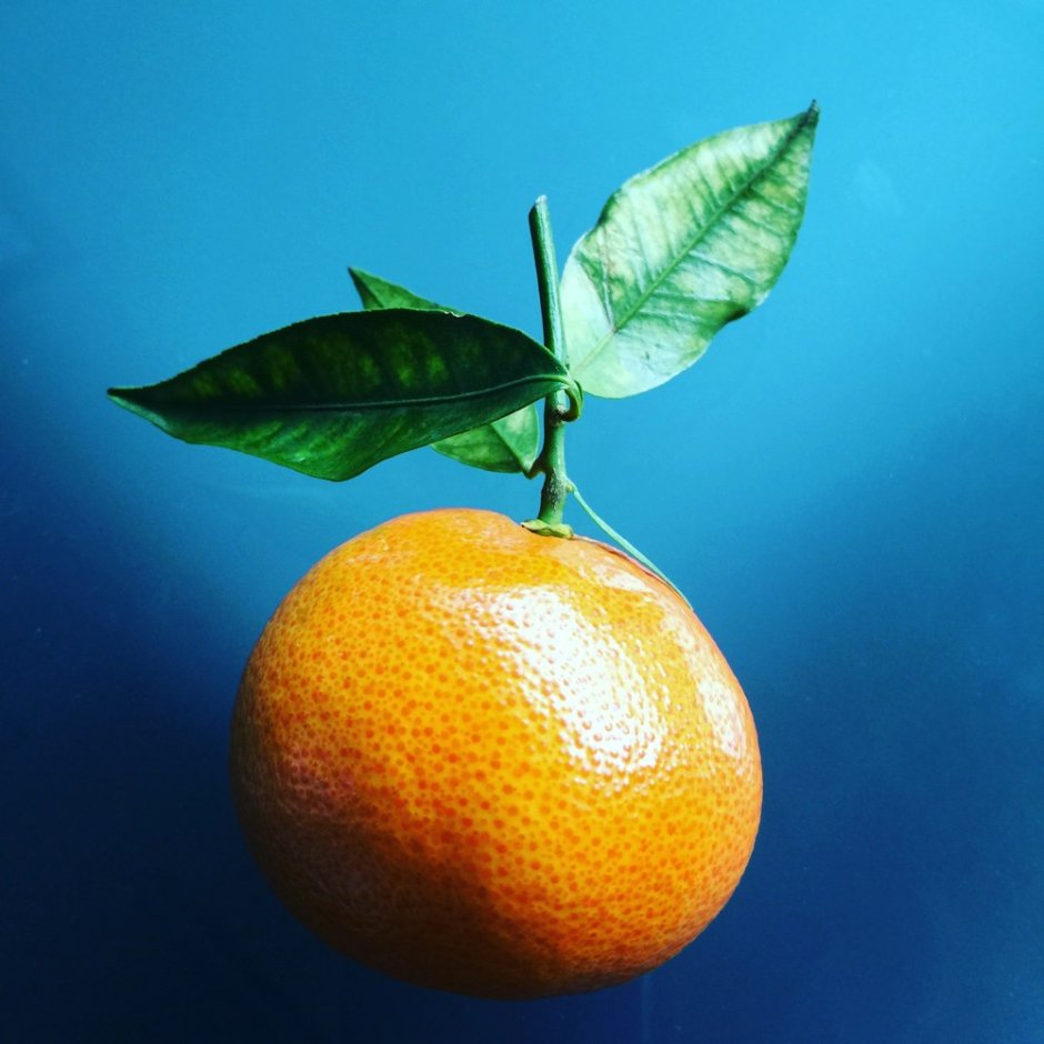 Апельсин (плод)