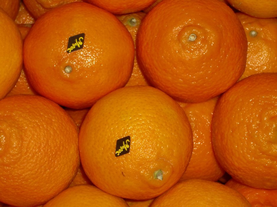 Марокко мандарины и апельсины