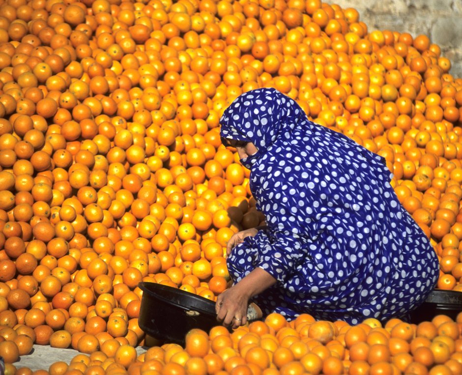 Марокко цитрусовые