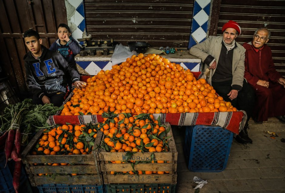 Плантации мандаринов в Марокко
