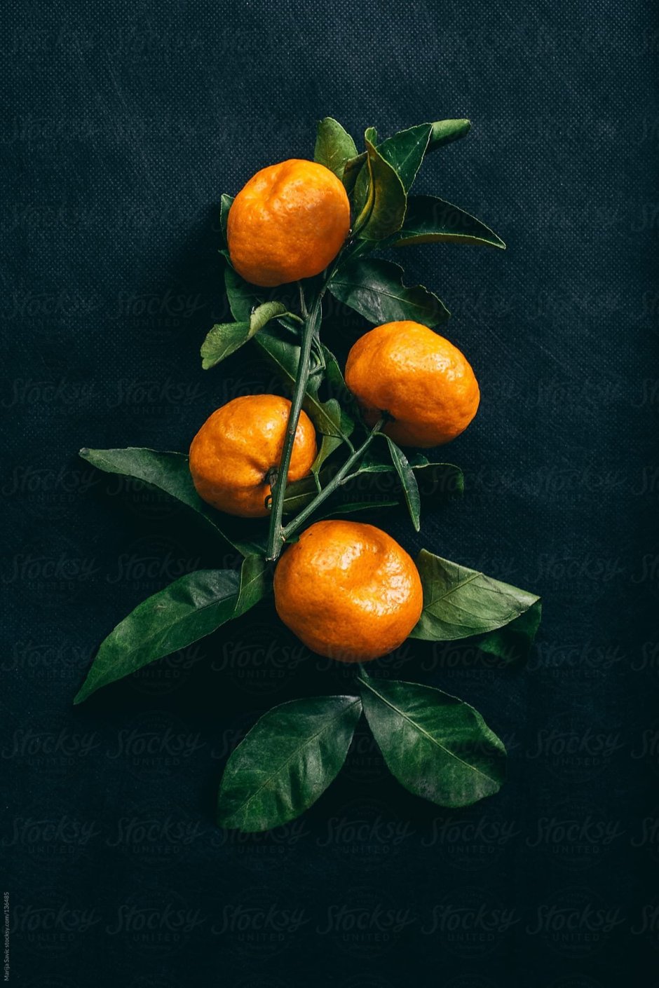 Апельсины на темном фоне
