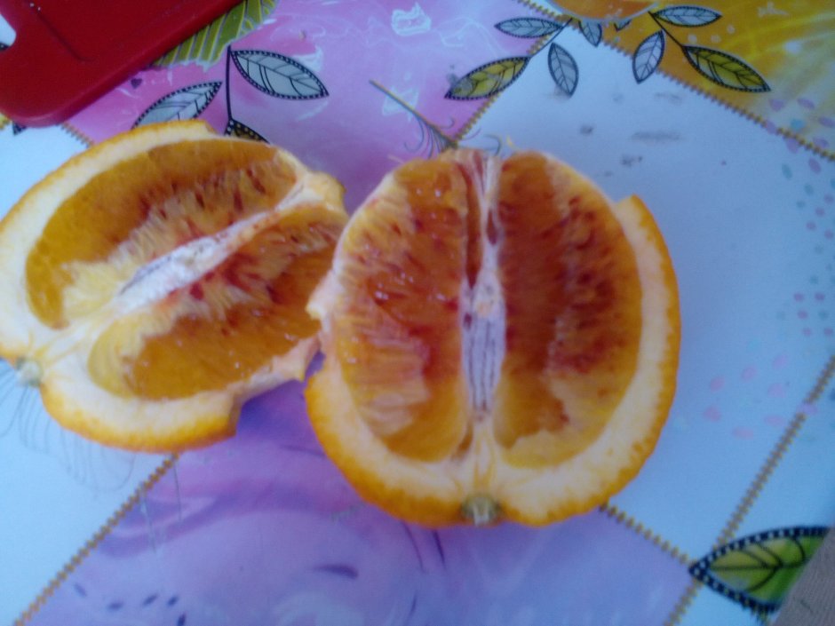 Апельсин с красными прожилками