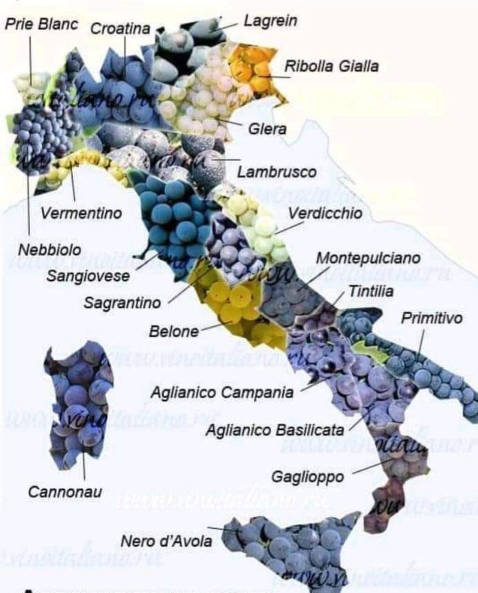 Регионы виноделия Италии