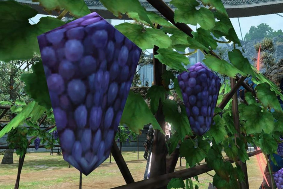 Final Fantasy 14 виноград
