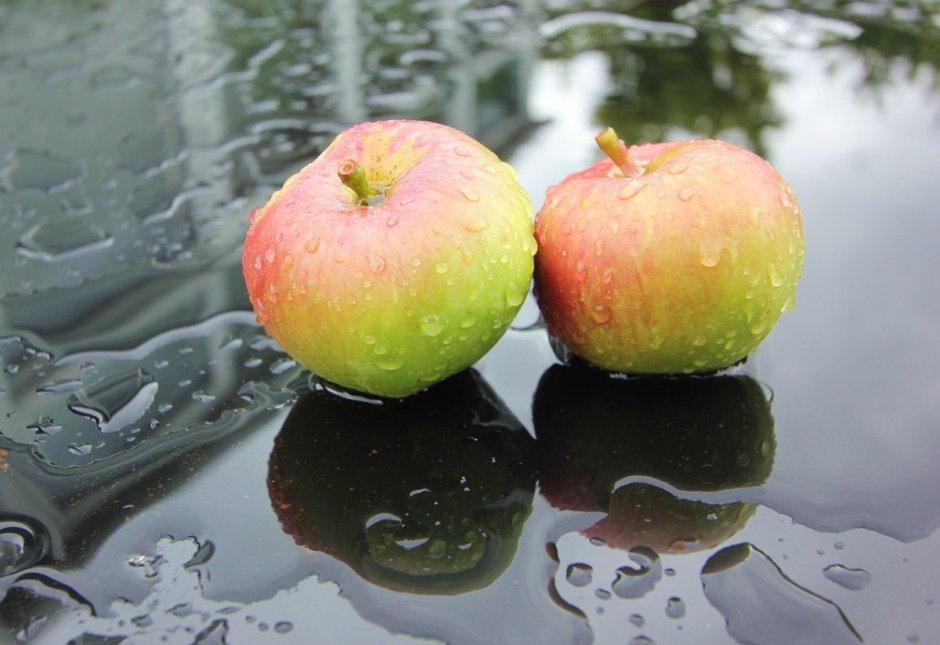 Яблоки дождь