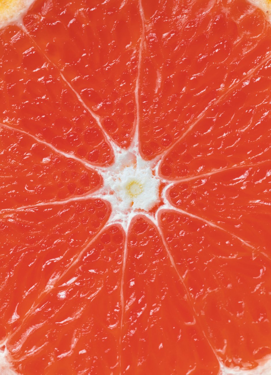 Цитрус апельсин грейпфрут