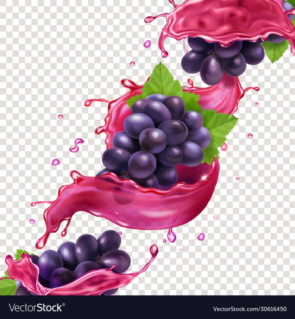 Grape 144