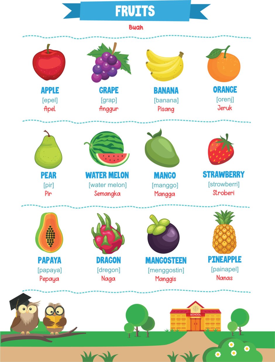 Таблица тропических фруктов с названиями