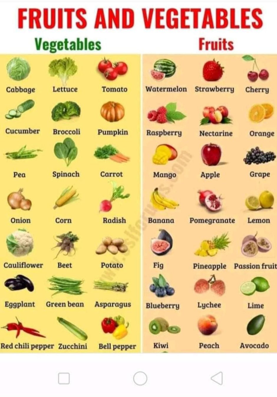 Наименование овощей и фруктов на английском