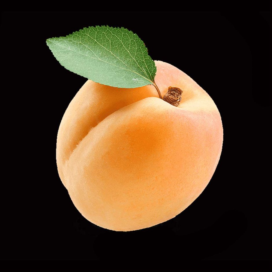 Сочный абрикос