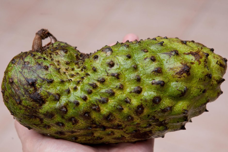Гуанабана фрукт