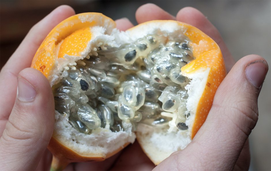 Тайский фрукт гранадилла