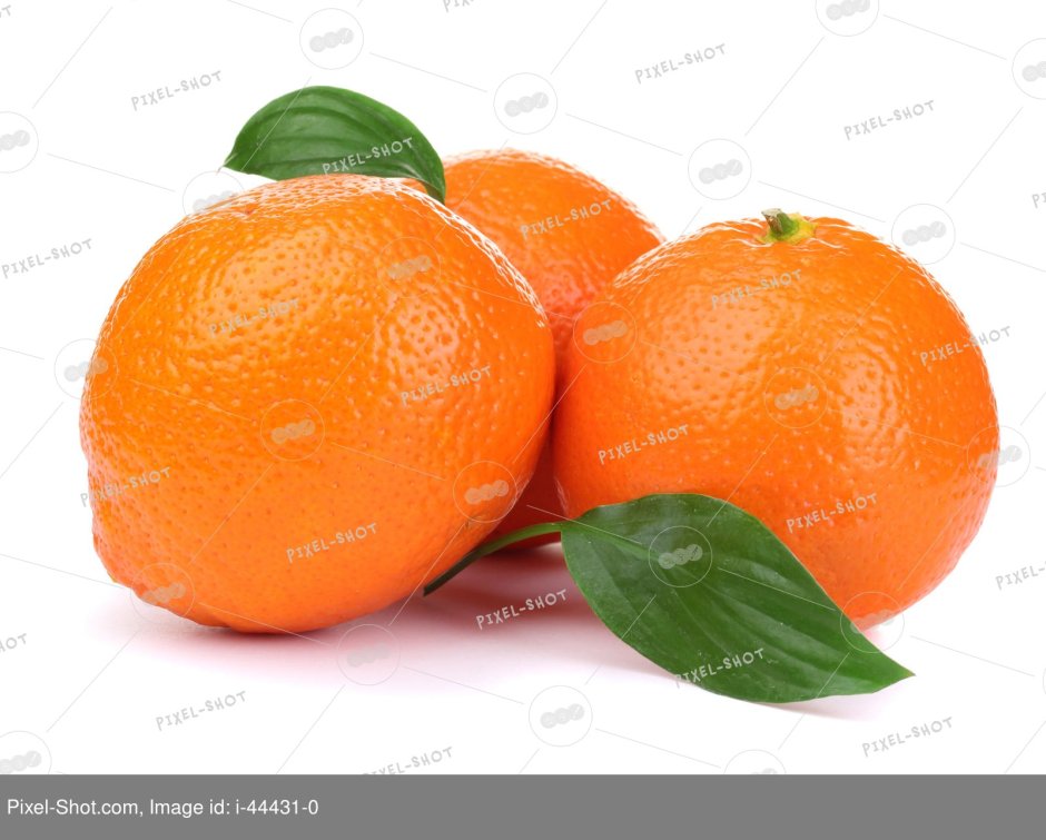 Гибрид мандарина и апельсина Минеола