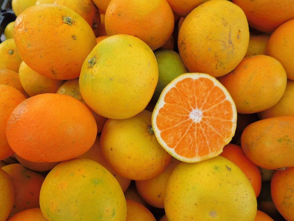 Цитрус мандарин (плоды желто-оранжевые)