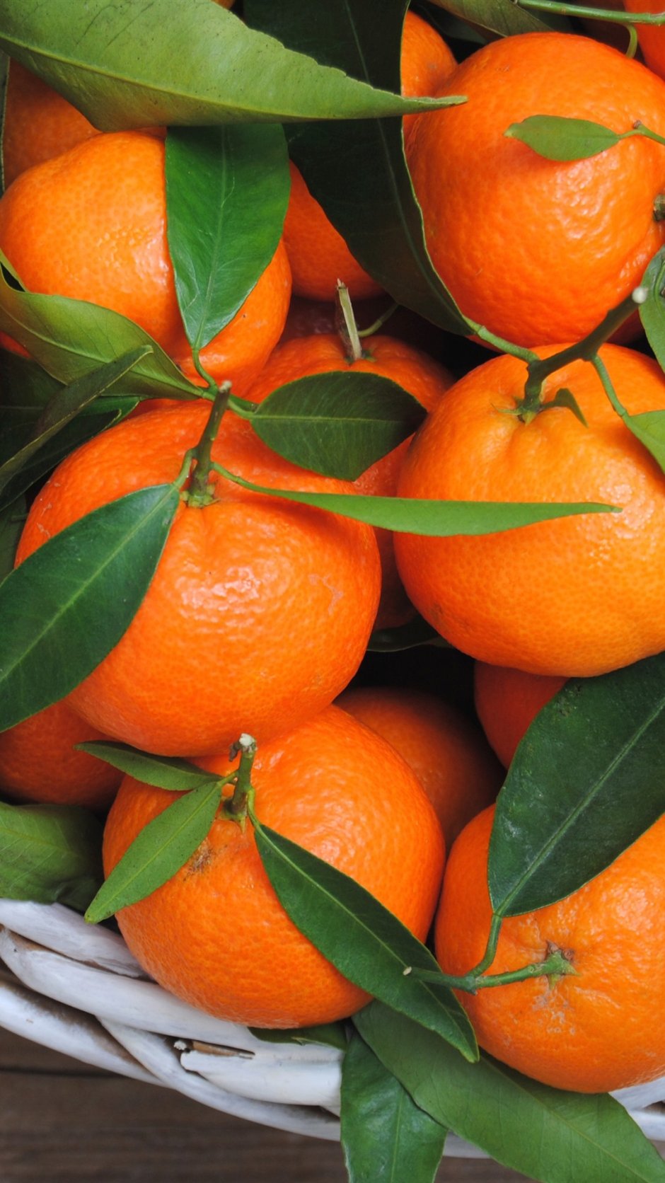 Апельсин сорт оранж