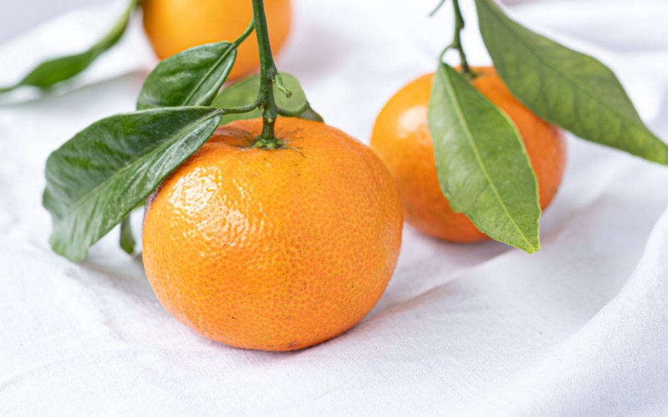 Цитрус мандарин Mandarine